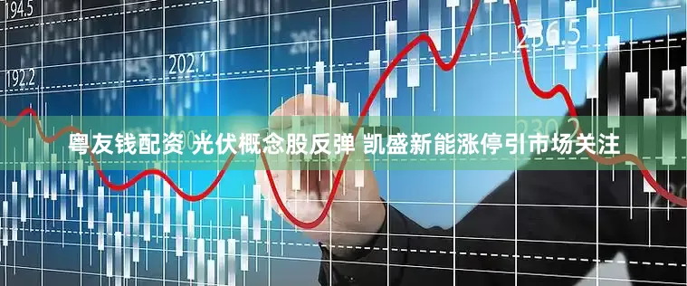 粤友钱配资 光伏概念股反弹 凯盛新能涨停引市场关注