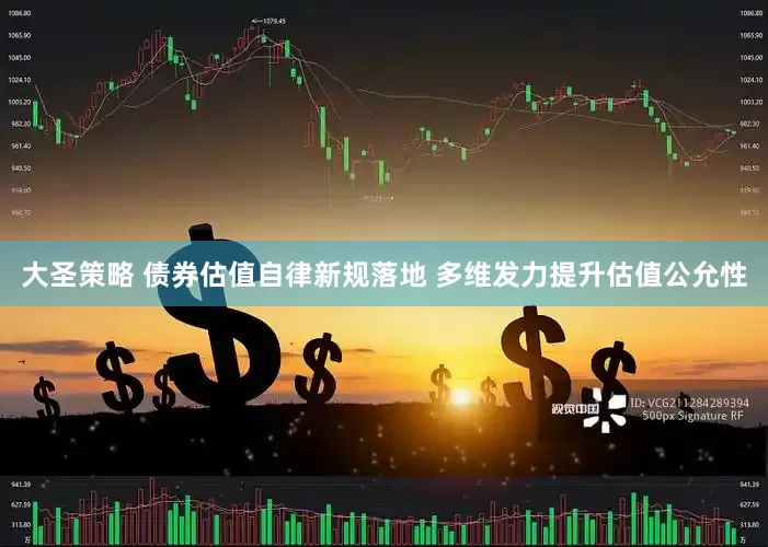 大圣策略 债券估值自律新规落地 多维发力提升估值公允性