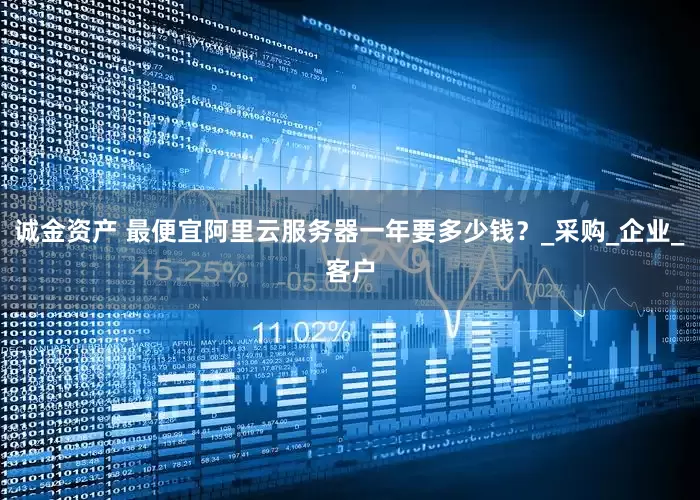 诚金资产 最便宜阿里云服务器一年要多少钱？_采购_企业_客户