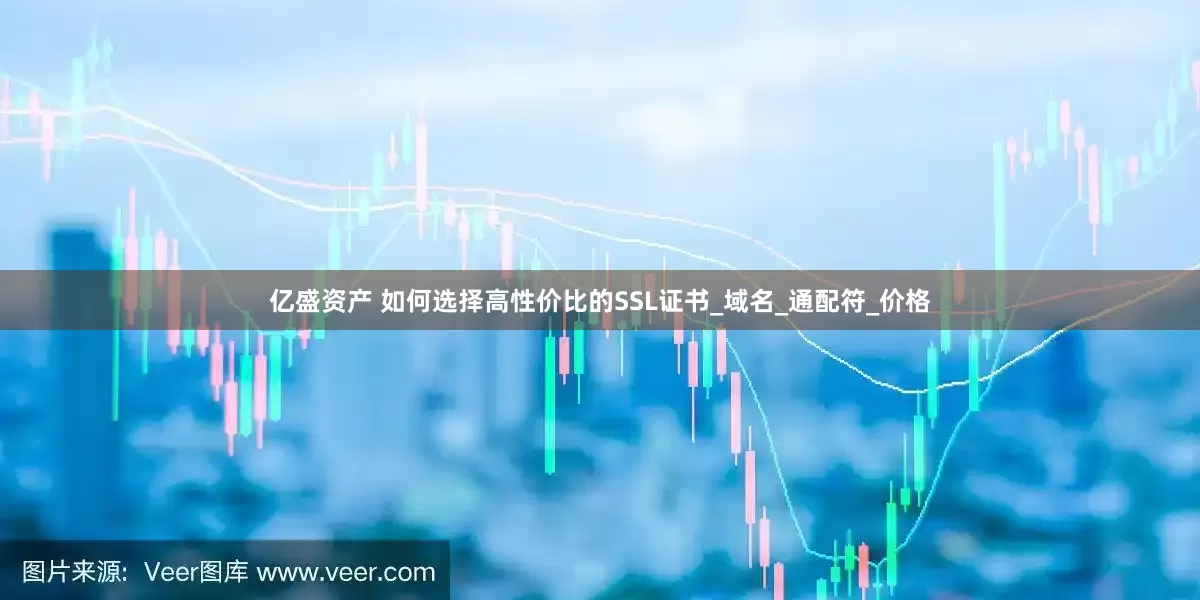 亿盛资产 如何选择高性价比的SSL证书_域名_通配符_价格